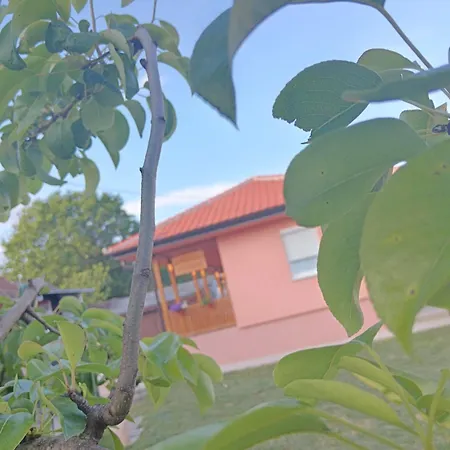 Stojkovic * 브르드니크