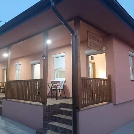 Stojkovic 브르드니크