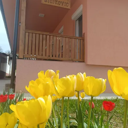 Stojkovic * Vrdnik
