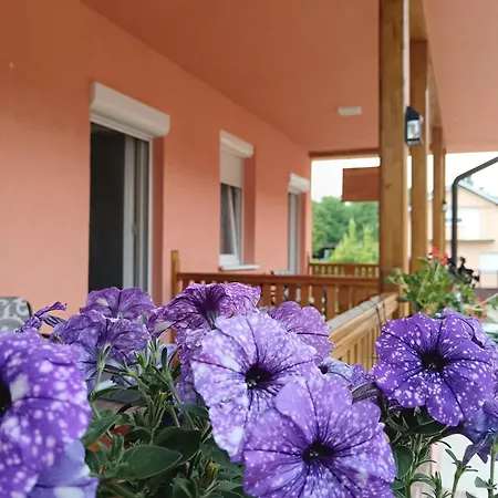 Lejlighed Stojkovic *