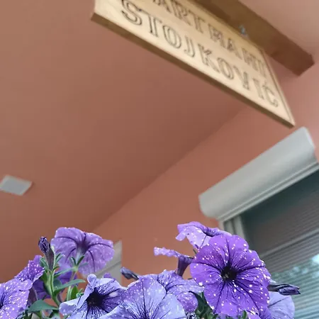 Stojkovic Apartment Vrdnik
