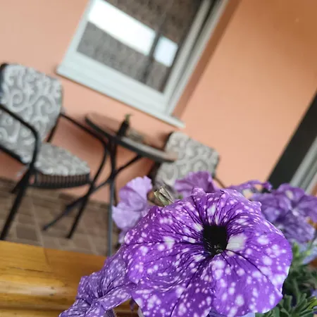 Apartment Stojkovic