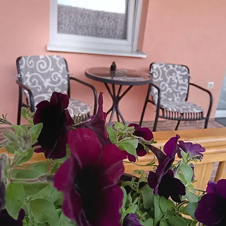 Apartment Stojkovic