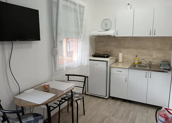 Stojkovic 브르드니크