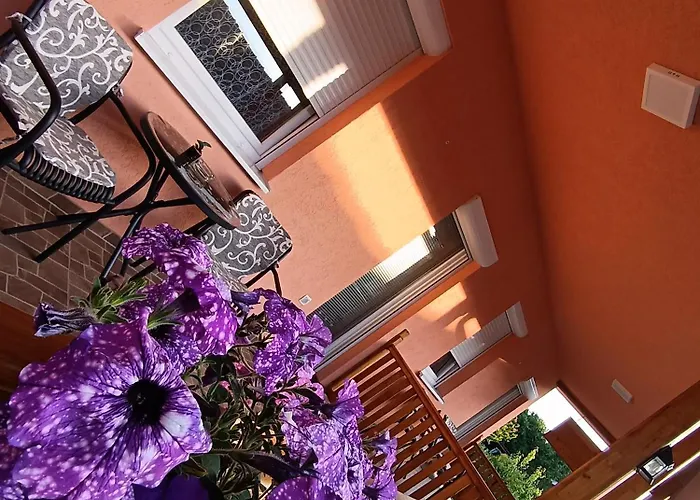 Stojkovic 브르드니크