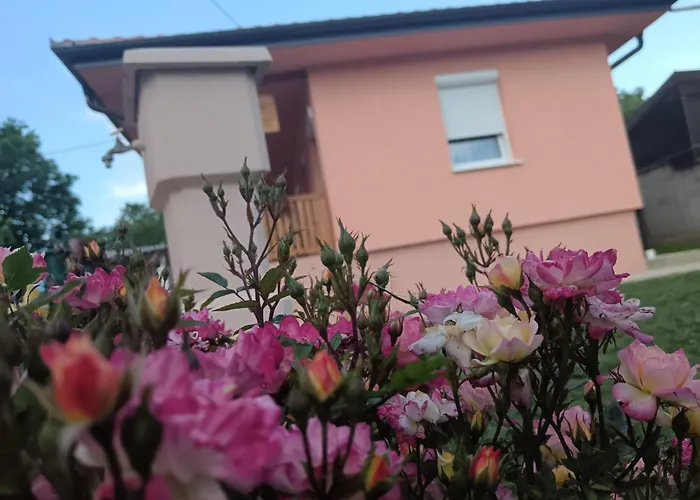 Stojkovic 브르드니크