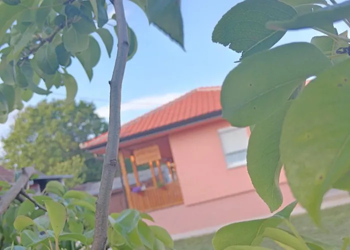 Stojkovic * ורדניק