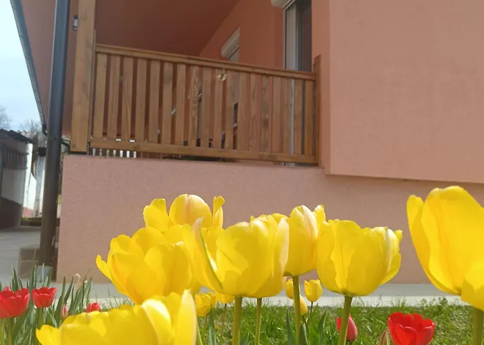 Stojkovic * 브르드니크