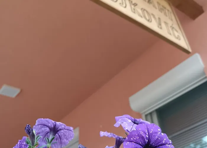 Stojkovic 아파트 브르드니크