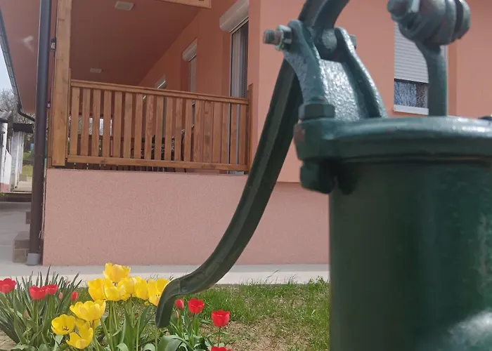 Stojkovic 아파트 브르드니크